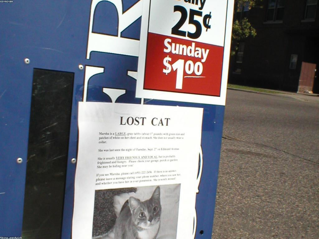 ព័ត៌មានអំពីរង្វាន់ថ្មីៗនិងការអភិវឌ្ឍន៍