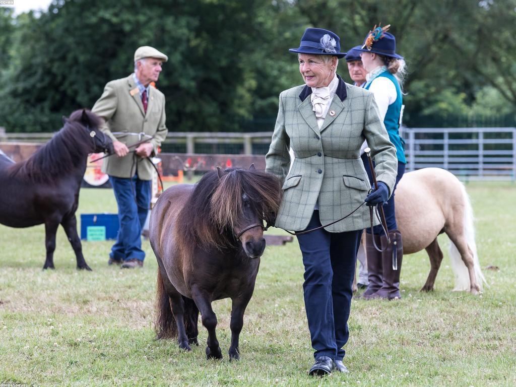 និន្ទានិងការប្រកួតប្រជែងរង្វាន់ថ្មីៗ