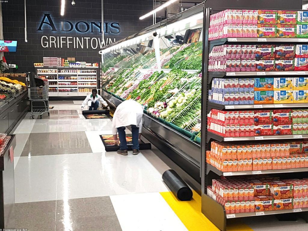 ααΆααααααααΌα αα·αα’αΆα αΆα